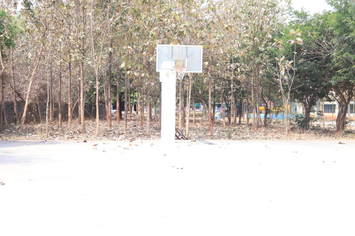 Basketball Court Main View